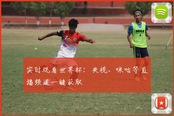 实时观看世界杯：央视、咪咕等直播频道一键获取