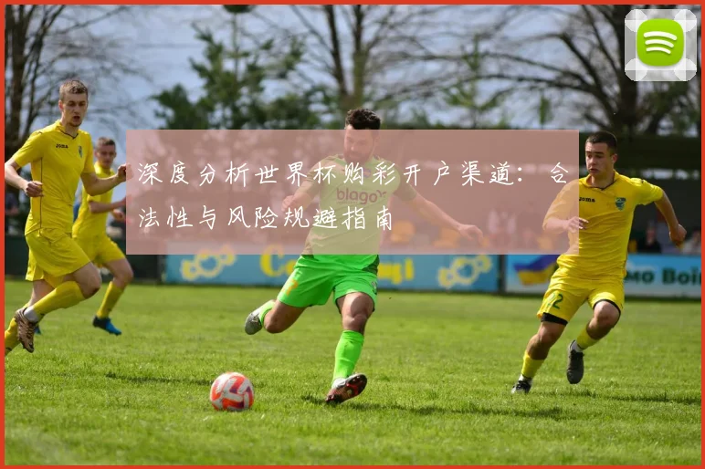 深度分析世界杯购彩开户渠道：合法性与风险规避指南