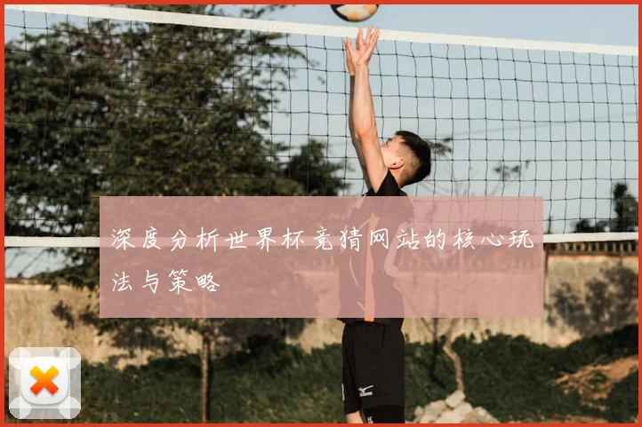 深度分析世界杯竞猜网站的核心玩法与策略