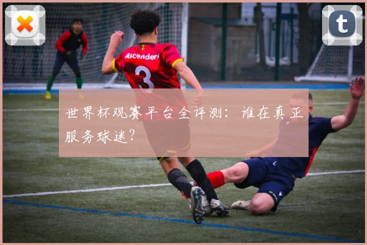 世界杯观赛平台全评测：谁在真正服务球迷？