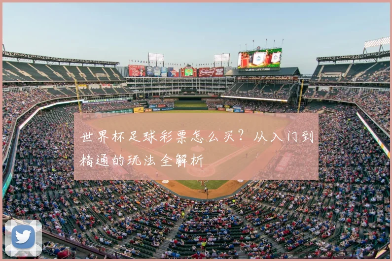 世界杯足球彩票怎么买？从入门到精通的玩法全解析