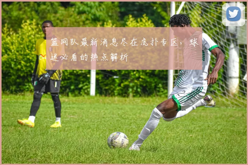 篮网队最新消息尽在虎扑专区，球迷必看的热点解析
