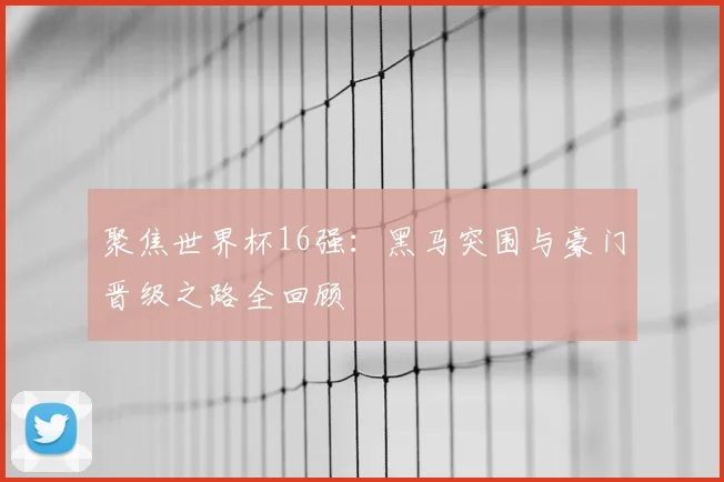 聚焦世界杯16强:黑马突围与豪门晋级之路全回顾